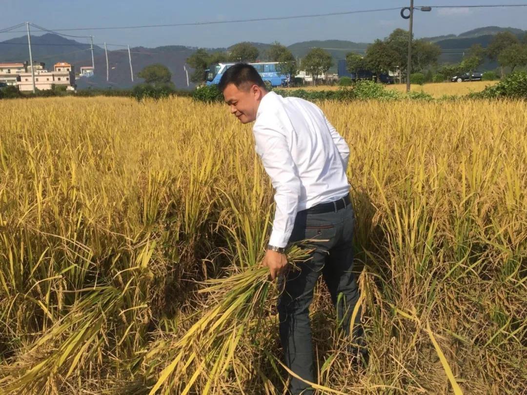 謝沃根積極參與鄉(xiāng)村建設(shè),保護(hù)與開發(fā)舊村落,帶動村民增收致富,助力鄉(xiāng)村振興