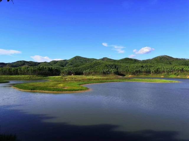 沙塘鎮龍眼坑水庫