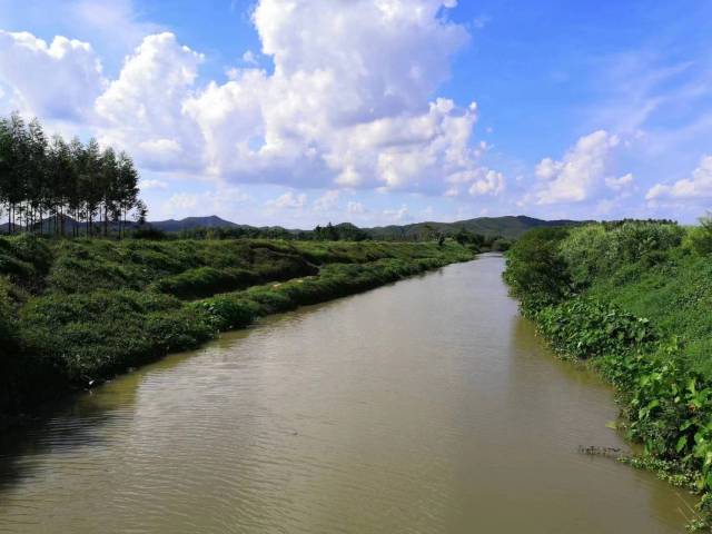 麗洞水沙塘鎮蓢畔村河段