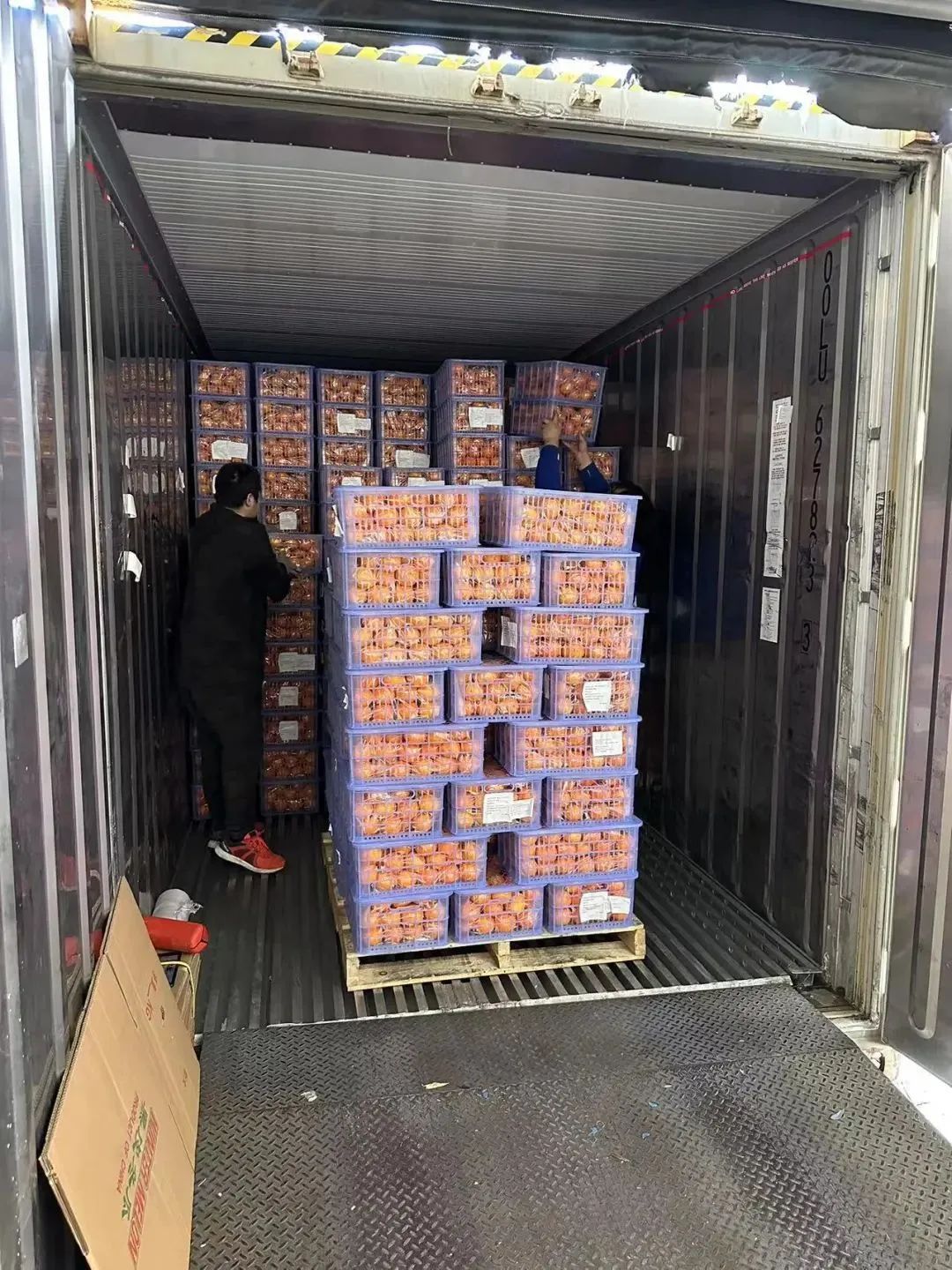 微信圖片_20230328174934.jpg 圖片