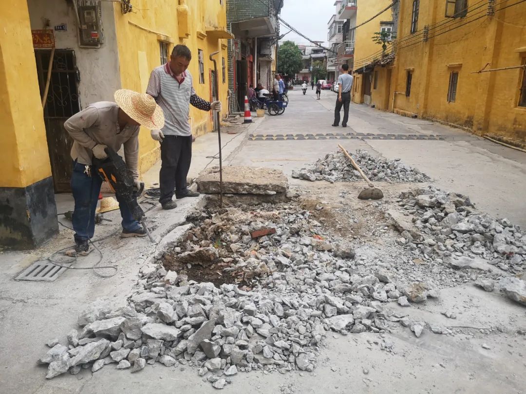 水稻、農業、農民、農業、種植、食品、稻田、田地、亞洲、帽子、人、工人、勞動、工作、工作、綠色、潮濕、作物、收獲、城市 圖片