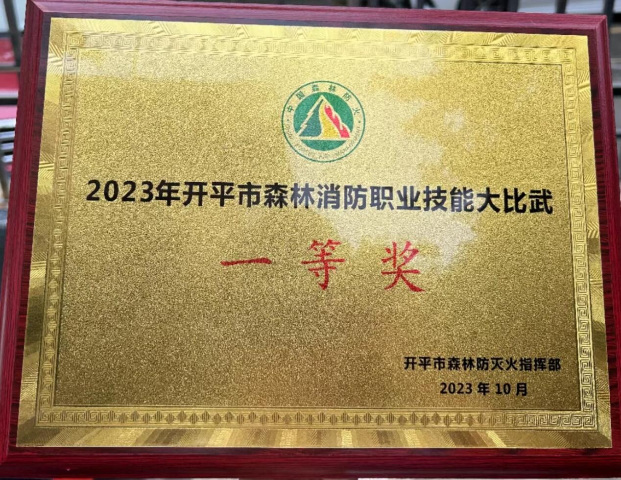 11月 百合鎮：退役軍人在森林職業技能大比武競賽獲佳績_4