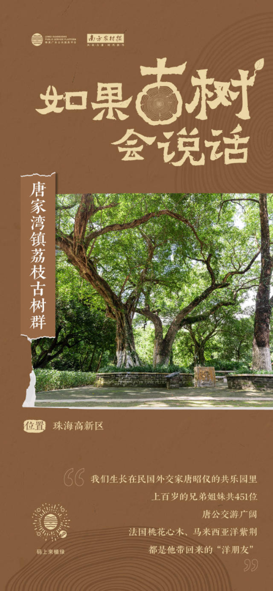 南方農村報 李嘉鎵 制圖