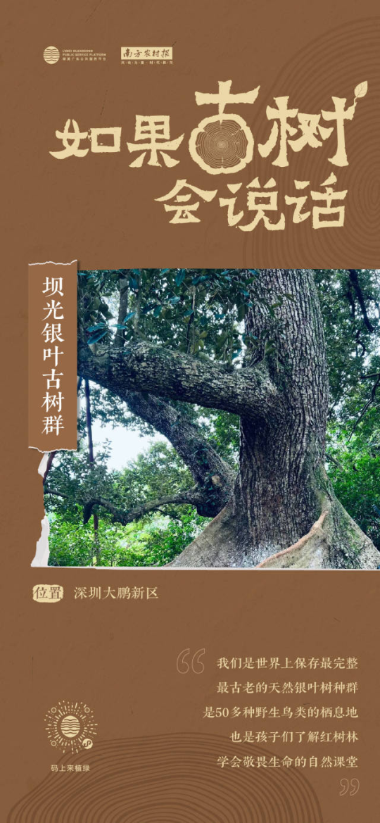 南方農村報 李嘉鎵 制圖