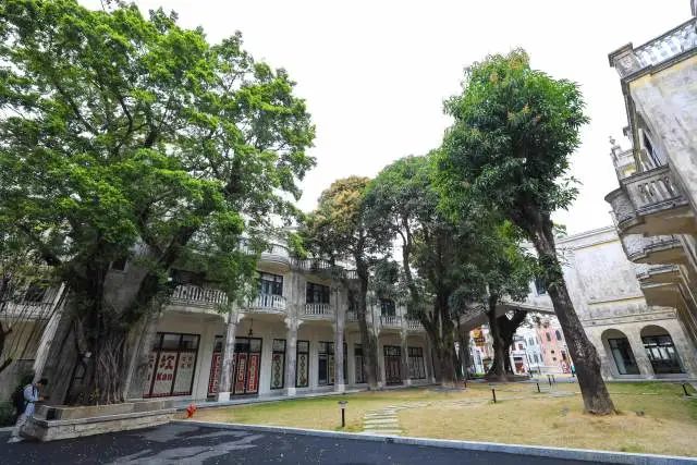 古樹與美堂酒店的古樸建筑相映成趣。 圖片