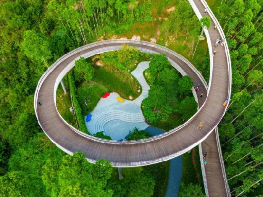 珠海紅花山森林公園。圖源：南方+ 