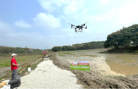 自動轉(zhuǎn)存圖片