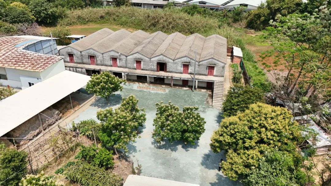 位于水口鎮向陽村的金山火蒜廠--吳瑞彬 攝.JPG