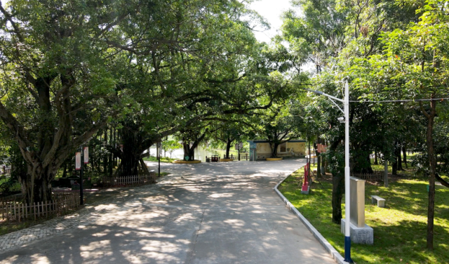 馬岡鎮(zhèn)北湖村。受訪者供圖 圖片