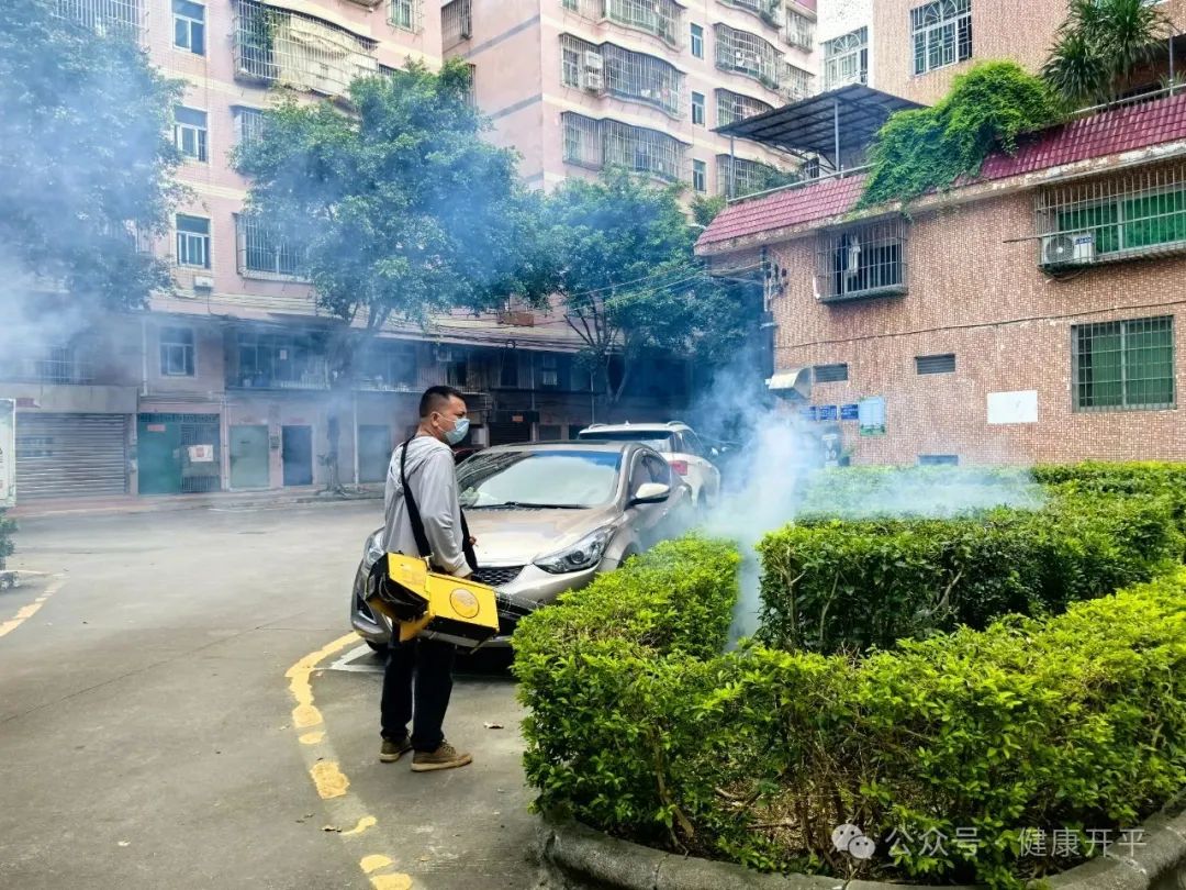 開平市衛健局全員行動：五天攻堅戰筑牢防蚊滅蚊防線