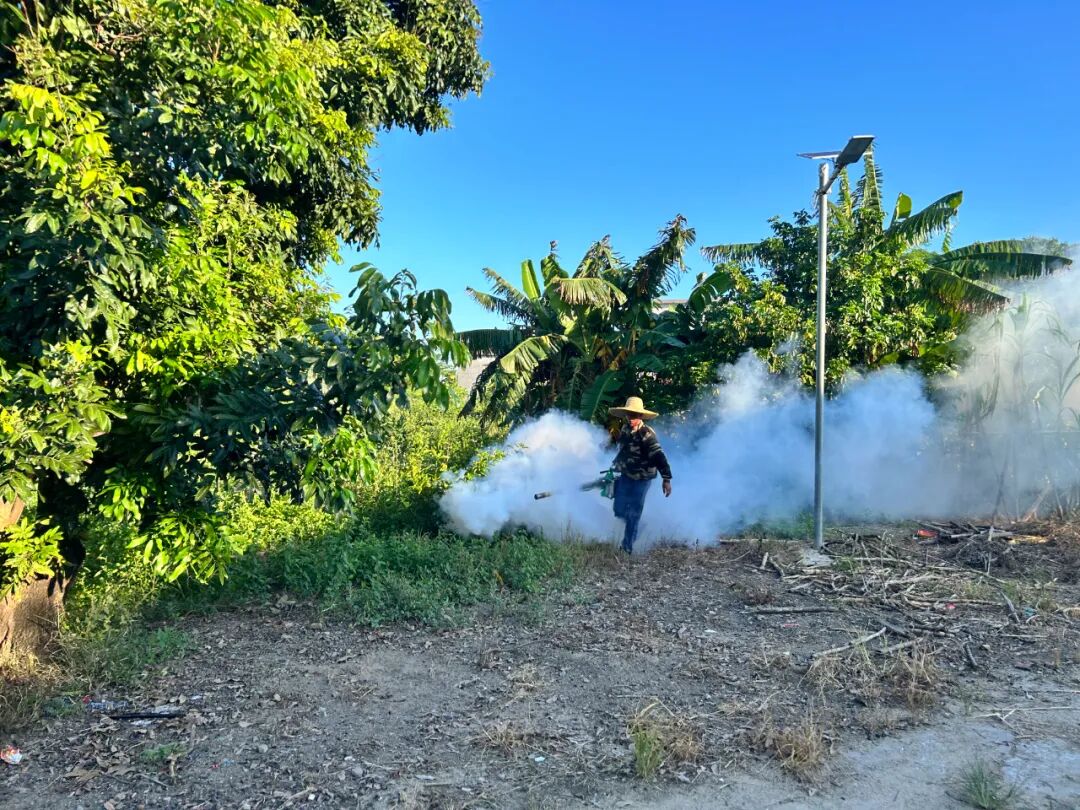 全鎮動員！赤坎鎮持續打好防蚊滅蚊攻堅戰