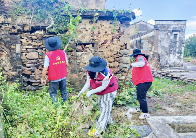 金雞鎮：柔肩扛起“硬防線”，巾幗力量奮戰基孔肯雅熱防控一線