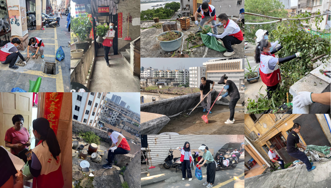黨員下沉齊攻堅(jiān) 改善環(huán)境顯擔(dān)當(dāng)——市財(cái)政局助力包干社區(qū)打贏基孔肯雅熱防控阻擊戰(zhàn)