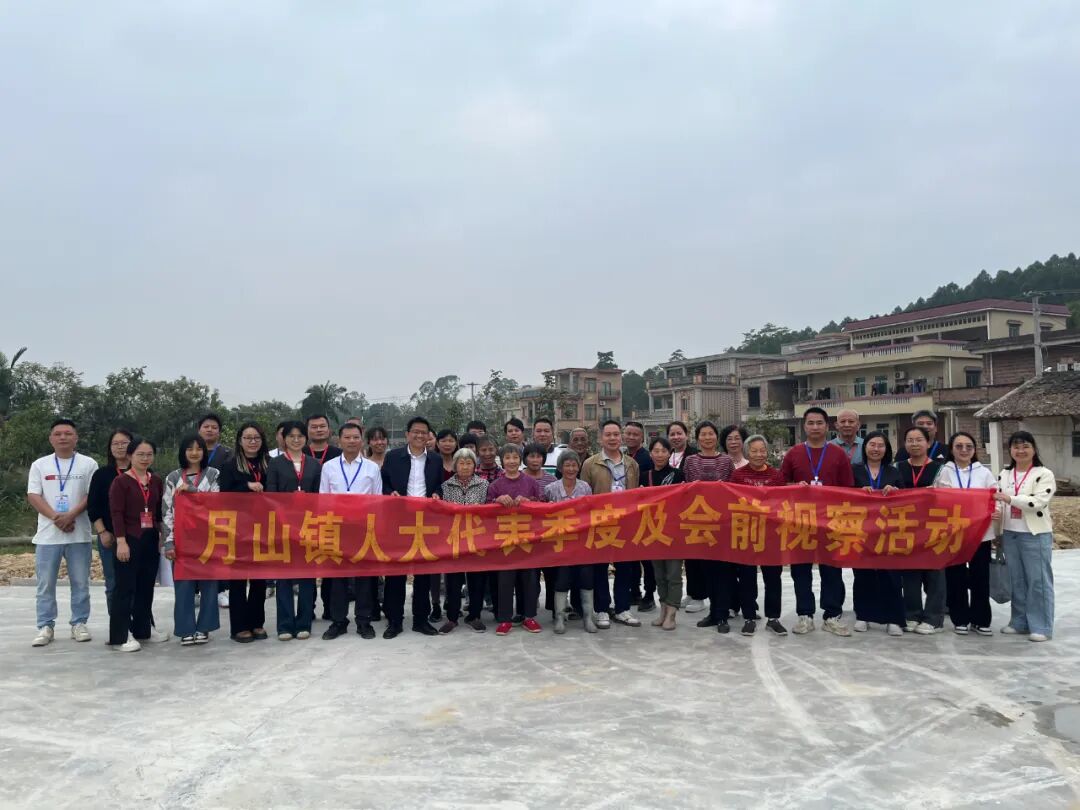 履職為民察實情 凝心聚力促發展——月山鎮開展第四季度視察活動