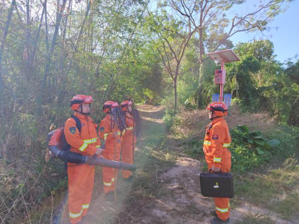 （開平市應急管理局簡報2026年第1期）開平市強化巡護宣傳駐防 多措并舉筑牢森林防火.docx_2