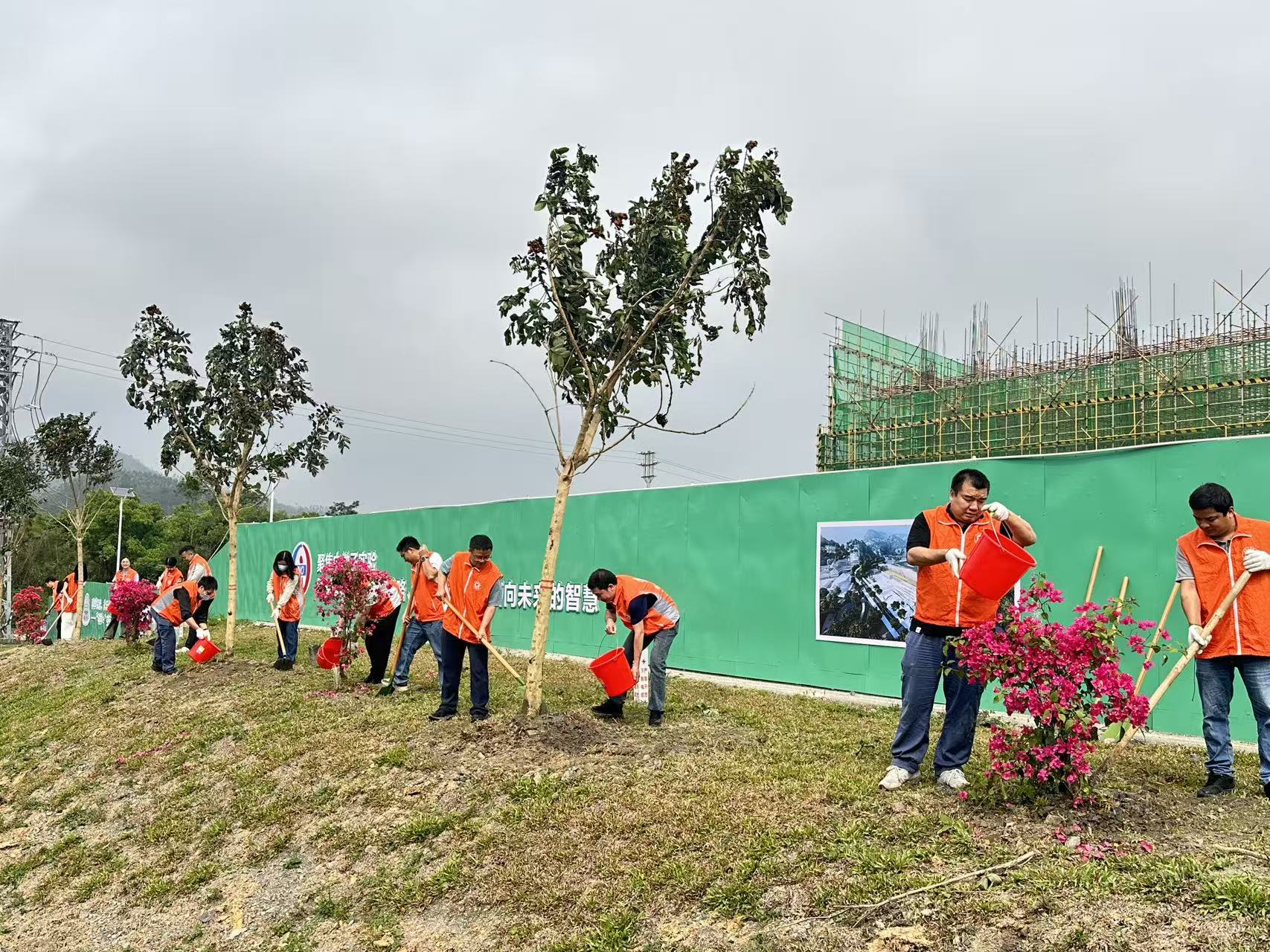 鎮企同心聚合力 和美鄉村展新顏——金雞鎮攜手幫扶單位筑牢鄉村生態宜居屏障